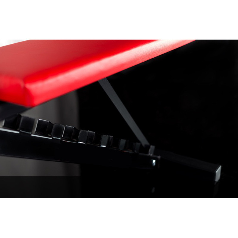 Скамья для жима регулируемая WCG Pro-10