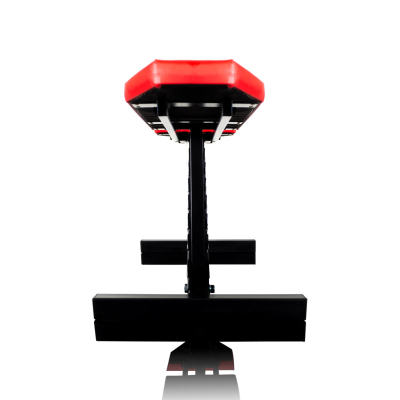 Скамья для жима регулируемая WCG Pro-10