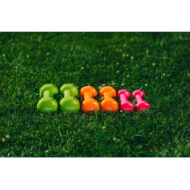 Набір гантелей в кейсі 6 кг. PowerPlay 4103 Fitness Dumbells (2шт.*0,5кг. 2шт.*1кг. 2шт.*1,5кг.) Набір гантелей в кейсі 6 кг. PowerPlay 4103 Fitness Dumbells (2шт.*0,5кг. 2шт.*1кг. 2шт.*1,5кг.)