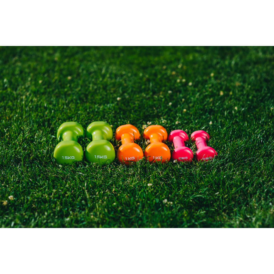Набір гантелей в кейсі 6 кг. PowerPlay 4103 Fitness Dumbells (2шт.*0,5кг. 2шт.*1кг. 2шт.*1,5кг.)