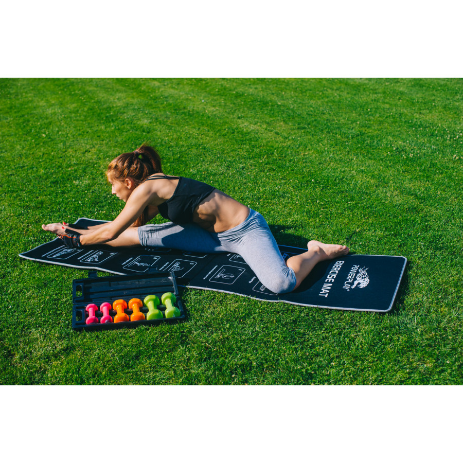 Набір гантелей в кейсі 6 кг. PowerPlay 4103 Fitness Dumbells (2шт.*0,5кг. 2шт.*1кг. 2шт.*1,5кг.)
