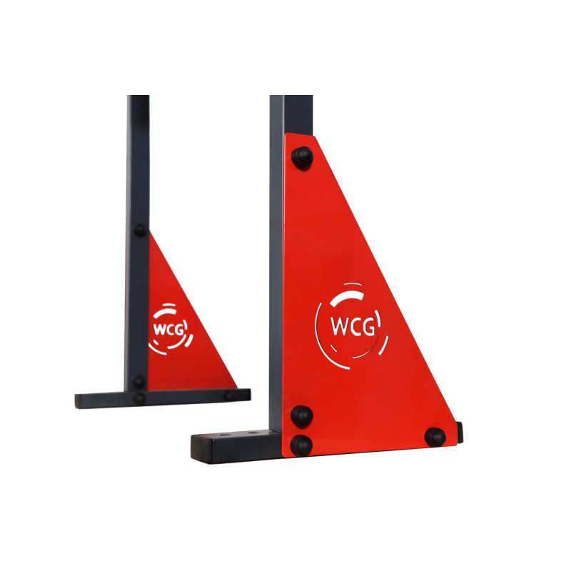 Турнік настінний WCG Elite SE 030