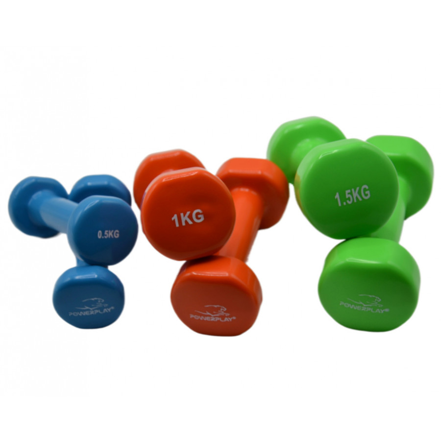 Набір гантелей в кейсі 6 кг. PowerPlay 4103 Fitness Dumbells (2шт.*0,5кг. 2шт.*1кг. 2шт.*1,5кг.)