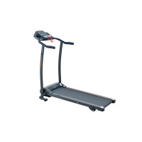 Беговая дорожка электрическая WCG-H101
