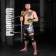 Рукавиці для ММА Phantom APEX Sparring NEON L/XL