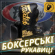 Боксерські рукавиці Fairtex BGVG1 Black 10 унцій (бинти в комплекті)