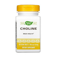 Вітаміни та мінерали, Choline 500 mg, Nature's Way, 100 капсул