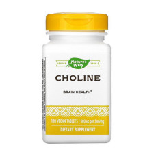 Вітаміни та мінерали, Choline 500 mg, Nature's Way, 100 капсул