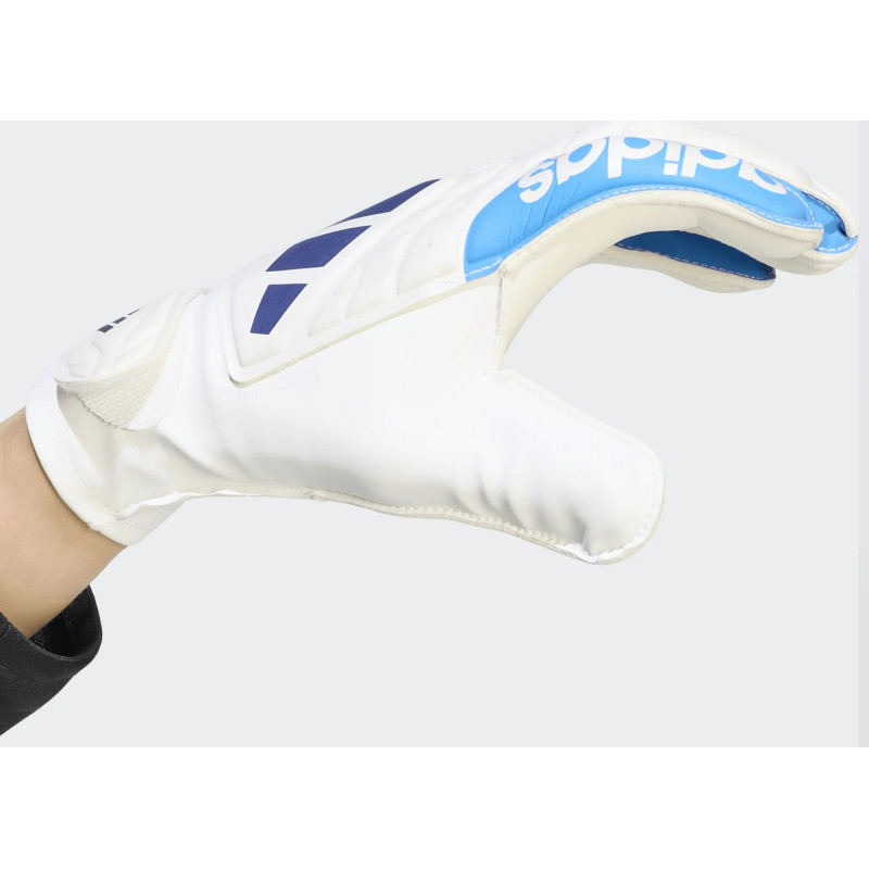 Рукавички воротарські Adidas COPA GL CLB J