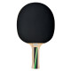Ракетка для пінг-понгу Donic Top Teams 400
