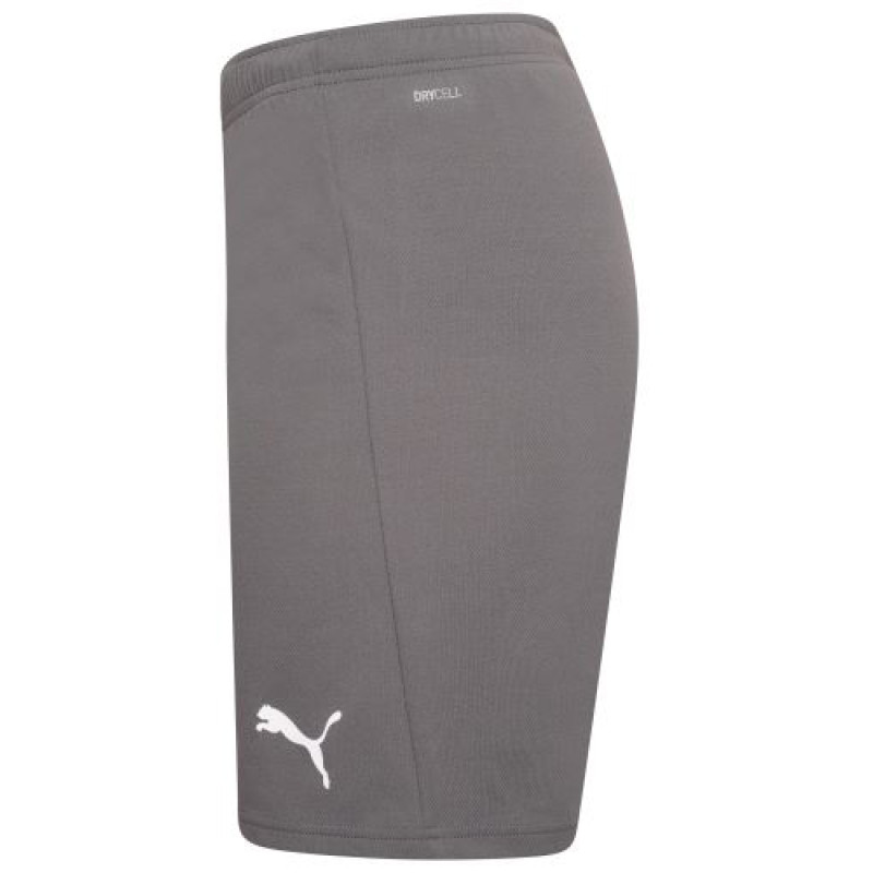 Шорти Puma teamRISE Short