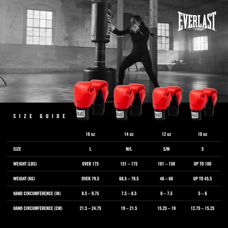 Боксерські рукавиці Everlast PROSTYLE 2 BOXING GLOVES