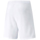 Шорти Puma teamRISE Short
