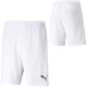 Шорти Puma teamRISE Short