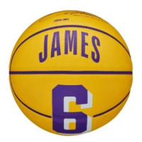 М'яч баскетбольний Wilson NBA PLAYER ICON MINI BSKT LEBRON