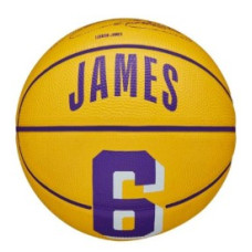 М'яч баскетбольний Wilson NBA PLAYER ICON MINI BSKT LEBRON