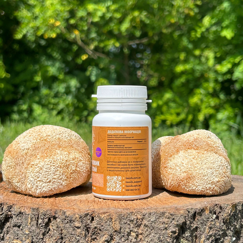 Екстракт Їжовика гребінчастого, "Лісовик", 60 капсул по 0.5 г