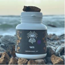 Чага березова, екстракт 10:1, "Лісовик", 120 капсул по 0.5 г