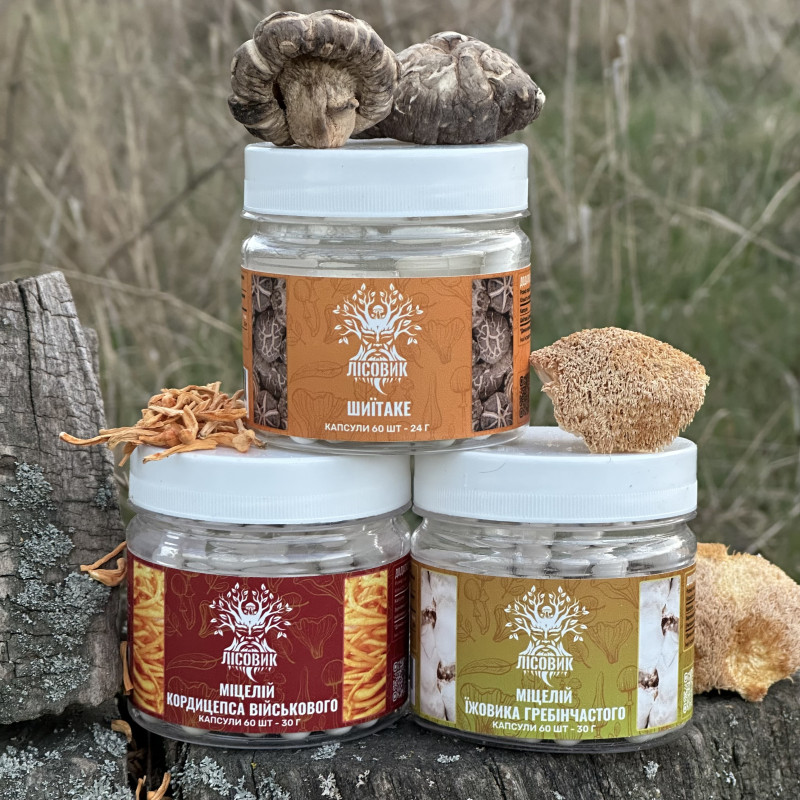 Курс Mind Boost v2: Для навчання та когнітивних функцій (1 місяць), "Лісовик", 180 капсул