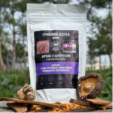 Грибний Ice Tea - анчан з цитрусом, "Лісовик", 80 грам