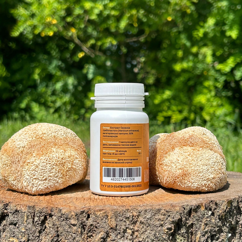 Екстракт Їжовика гребінчастого, "Лісовик", 60 капсул по 0.5 г
