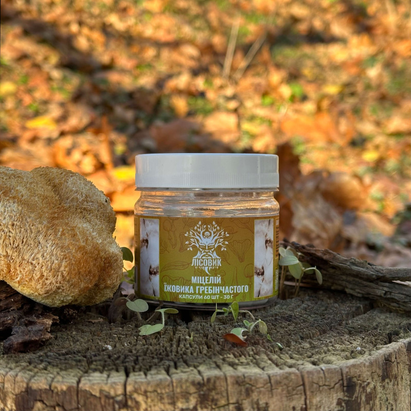 Мицелий ежовика гребенчатого, "Лесовик", 60 капсул по 0,5 г