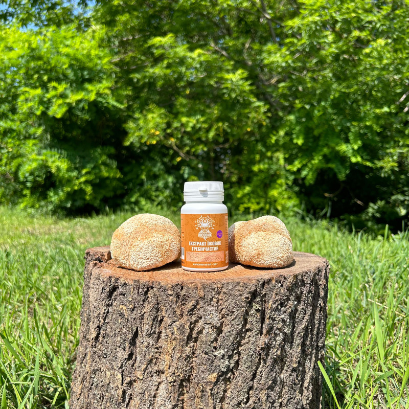 Екстракт Їжовика гребінчастого, "Лісовик", 60 капсул по 0.5 г