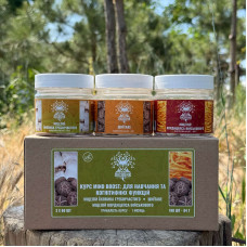 Курс Mind Boost v2: Для навчання та когнітивних функцій (1 місяць), "Лісовик", 180 капсул