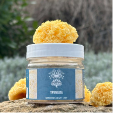 Тремела, "Лісовик", 60 капсул 0.5 г