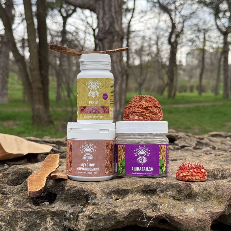 Курс Zen Mood: Для боротьби з тривожністю, апатією та депресією (1 місяць), "Лісовик", 180 капсул