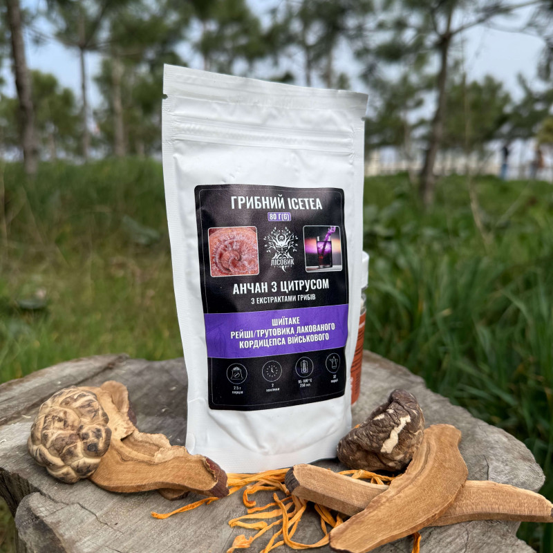 Грибний Ice Tea - анчан з цитрусом, "Лісовик", 80 грам