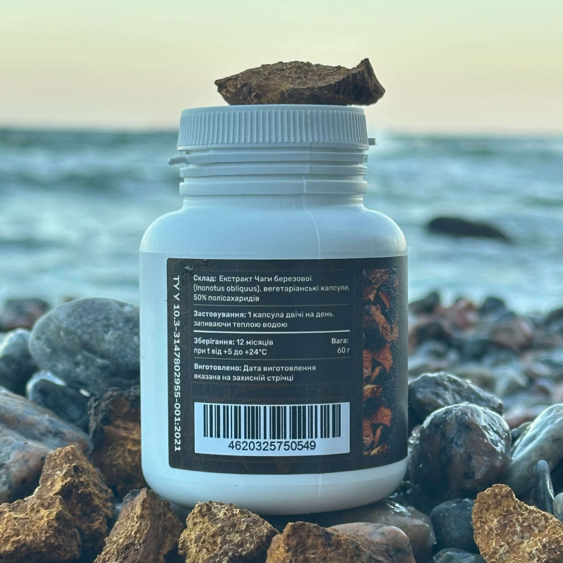 Чага березова, екстракт 10:1, "Лісовик", 120 капсул по 0.5 г