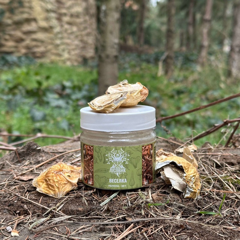 Весёлка обычная, молотые плодовые тела, "Лесовик", 50 грамм