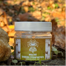 Міцелій їжовика гребінчастого, "Лісовик", 60 капсул по 0,5 г