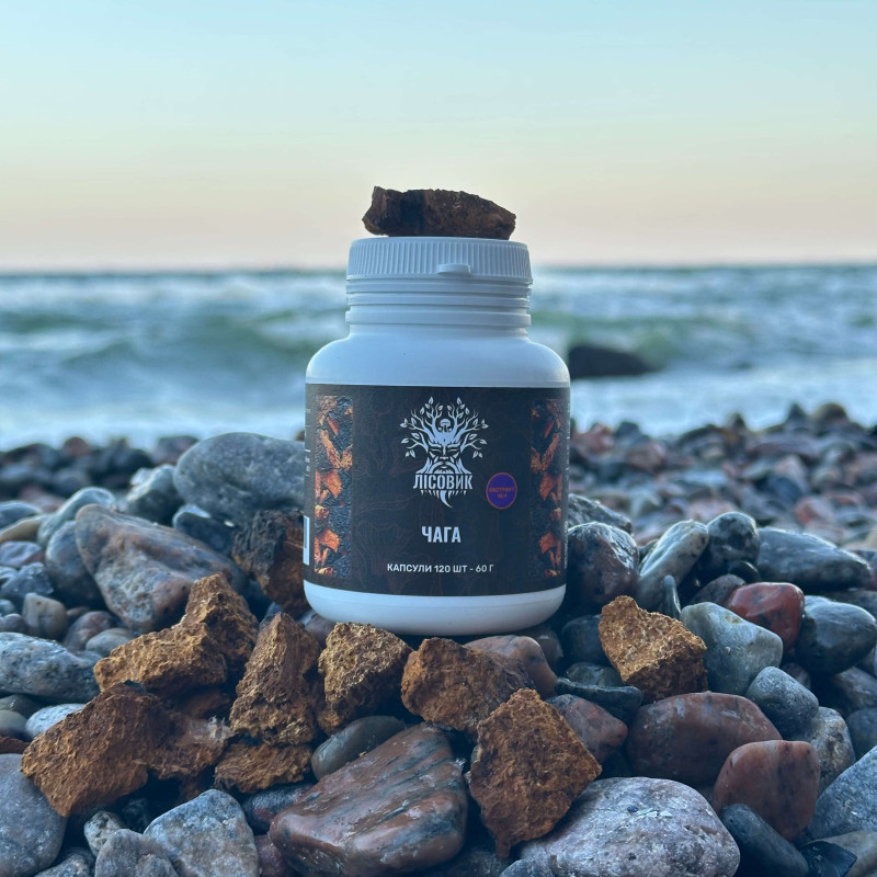 Чага березова, екстракт 10:1, "Лісовик", 120 капсул по 0.5 г