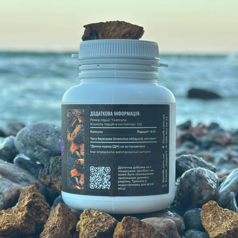 Чага березова, екстракт 10:1, "Лісовик", 120 капсул по 0.5 г
