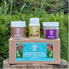 Курс Zen Mood: Для боротьби з тривожністю, апатією та депресією (1 місяць), "Лісовик", 180 капсул