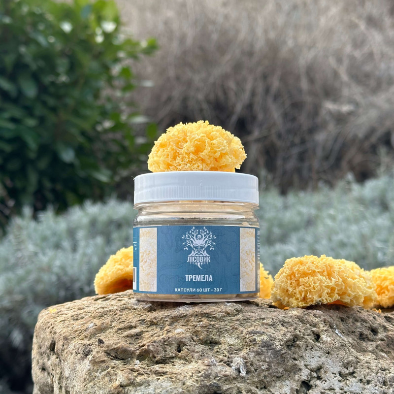 Тремела, "Лісовик", 60 капсул 0.5 г
