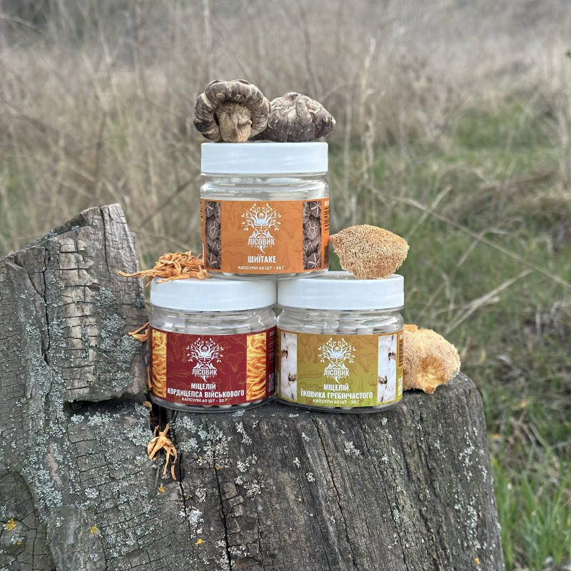 Курс Mind Boost v2: Для навчання та когнітивних функцій (1 місяць), "Лісовик", 180 капсул