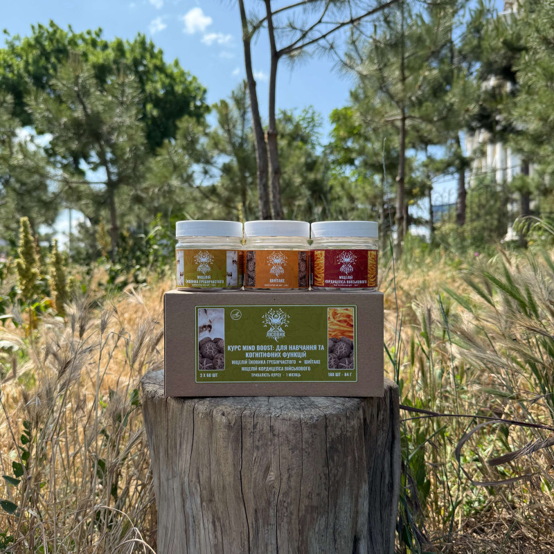 Курс Mind Boost v2: Для навчання та когнітивних функцій (1 місяць), "Лісовик", 180 капсул