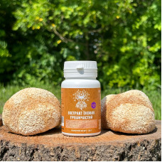 Екстракт Їжовика гребінчастого, "Лісовик", 60 капсул по 0.5 г