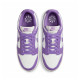 Кросівки жіночі Nike Dunk Low Next Nature (DD1873-108)