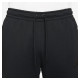 Брюки чоловічі Nike Sports Wear Te Fleece Jogger (DD5293-010)