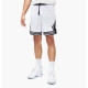 Шорти чоловічі Jordan Dri-Fit Sport (DX1487-100)