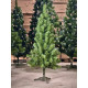 Ялинка новорічна зелена 1,0м Н.З. XMAS TREE GREEN