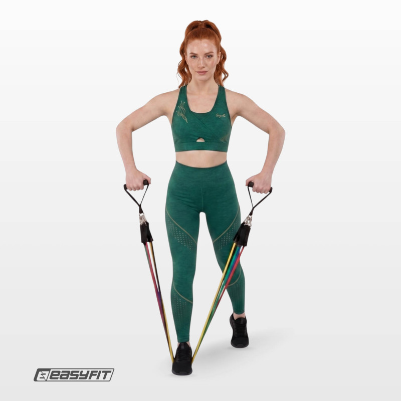 Набір еспандерів Бубновського EasyFit FlexSystem (5 шт) з чохлом, опір 4,6 - 13,6 кг