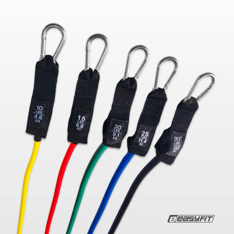 Набір еспандерів Бубновського EasyFit FlexSystem (5 шт) з чохлом, опір 4,6 - 13,6 кг