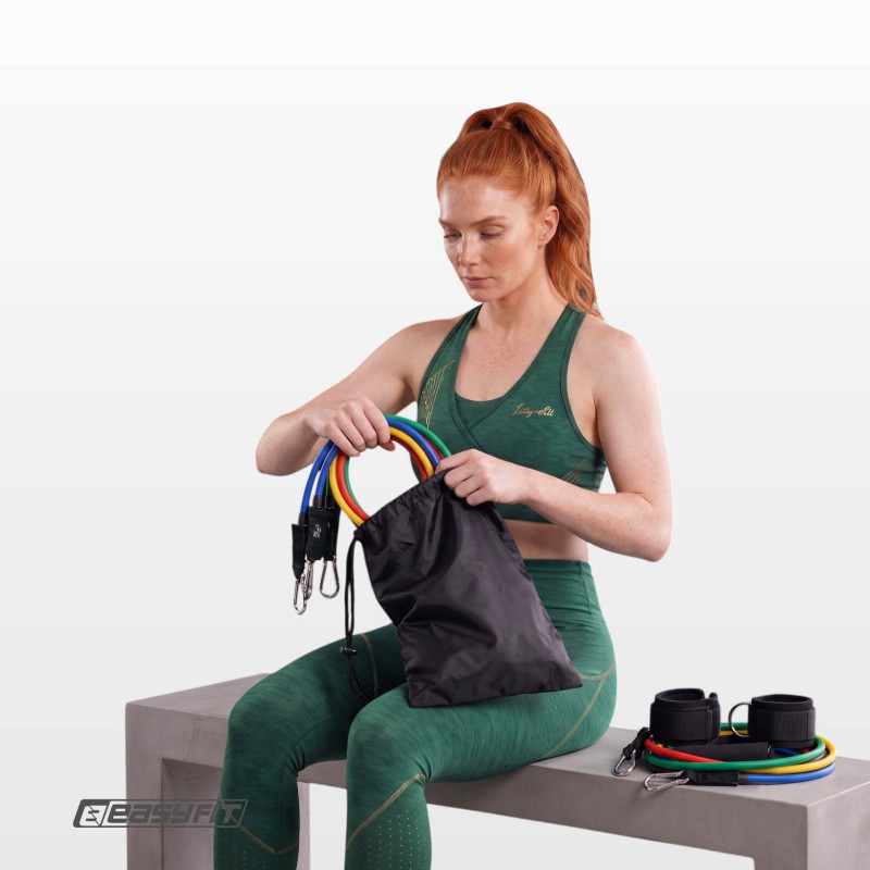 Набір еспандерів Бубновського EasyFit FlexSystem (5 шт) з чохлом, опір 4,6 - 13,6 кг