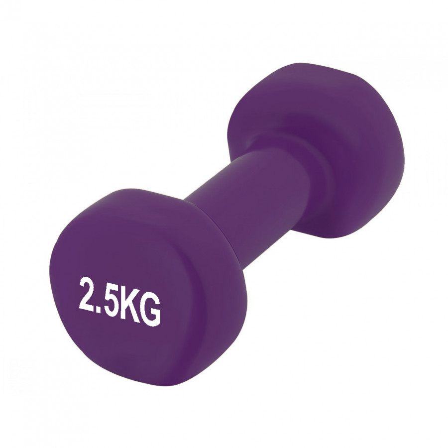 Гантелі вінілові PowerPlay 4125 Achilles 2*2.5 кг. Фіолетові (пара - 2шт.)