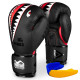 Боксерські рукавиці Phantom Fight Squad Schwarz Black 16 унцій